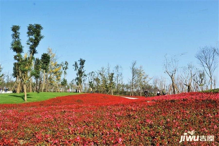 重庆渝北中央公园龙江鹿山壹号周边及交通图25- 吉屋网