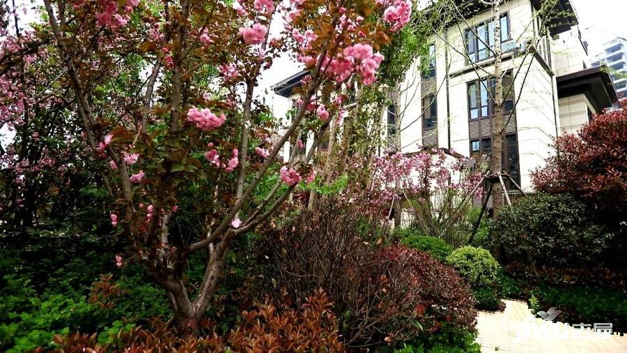 鹤壁淇滨区名门俏江南外景图/效果图38 吉屋网