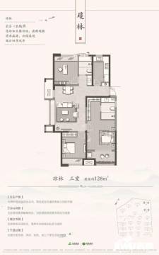 白桦林溪