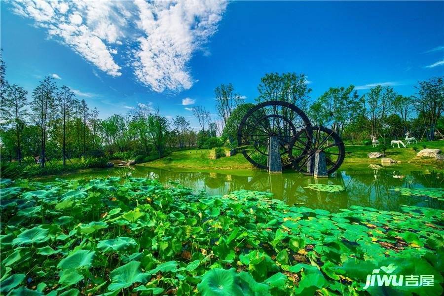 芙蓉公园 实景图