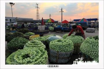 常州凌家塘集贸市场二手房房源,房价价格,小区怎么样