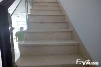 新龙AB栋实景图10