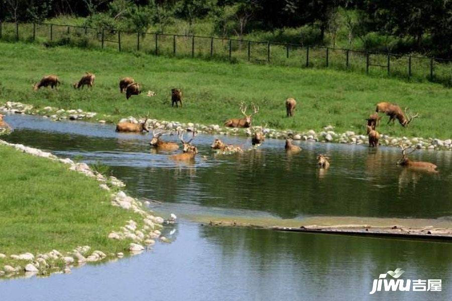 万和斐丽配套图图片