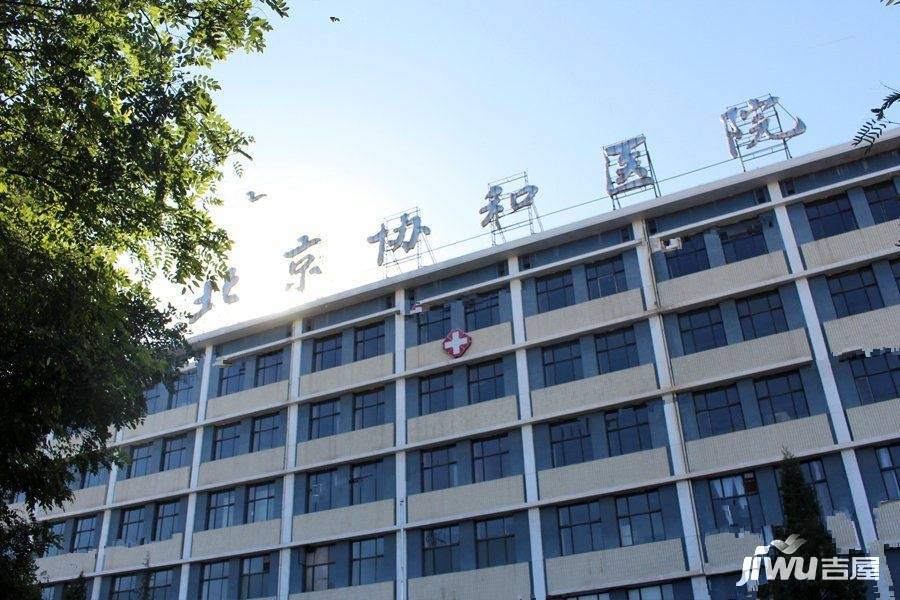 包含北京协和医院、门头沟区贩子联系方式《提前预约很靠谱》的词条