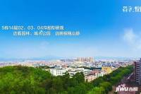 四季悦山实景图图片