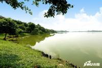 安华香蜜松湖实景图图片