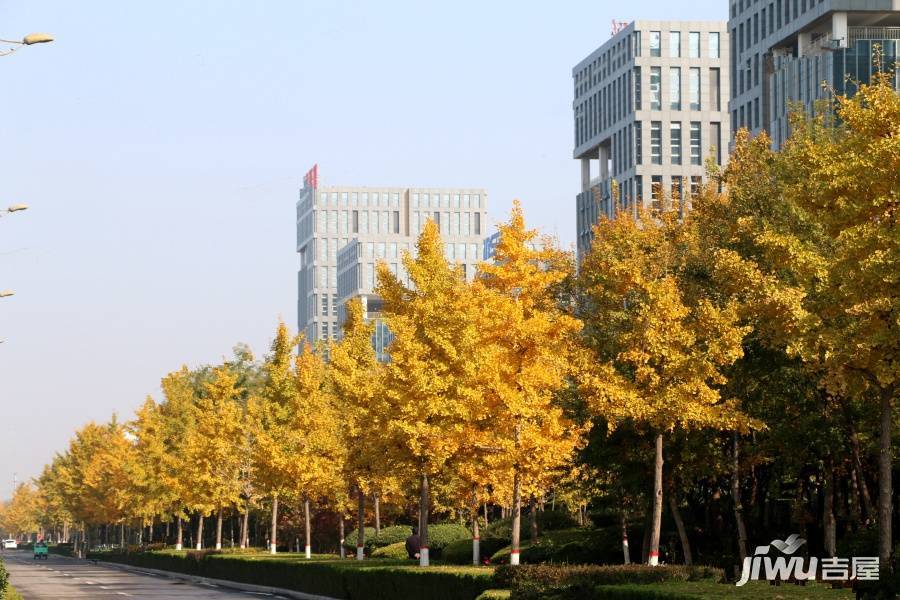 潍坊总部基地实景图图片