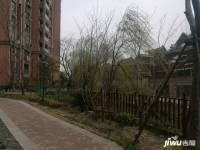 西上海君廷实景图图片