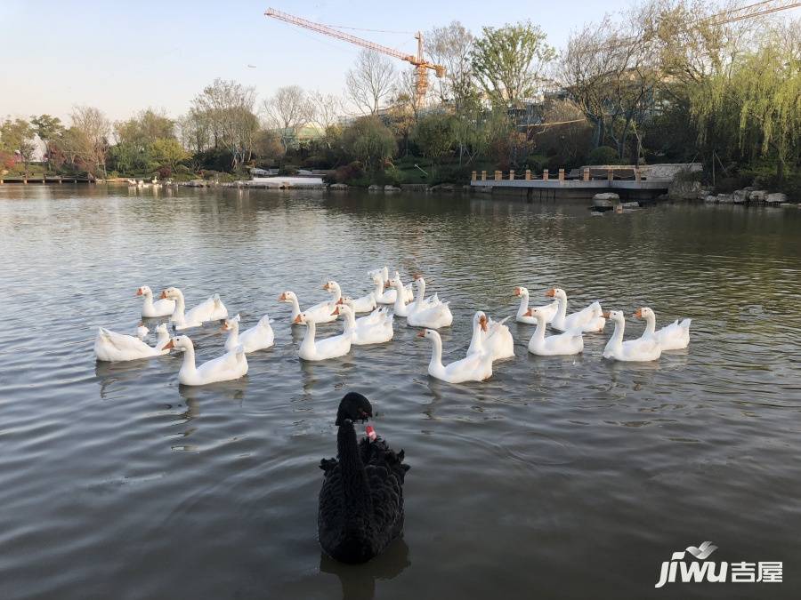 东滩花园实景图124