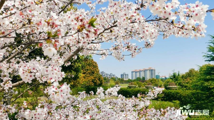 上海高尔夫社区实景图图片