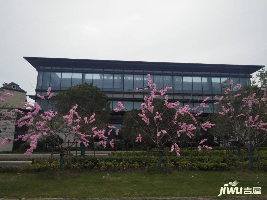 海上风华实景图图片