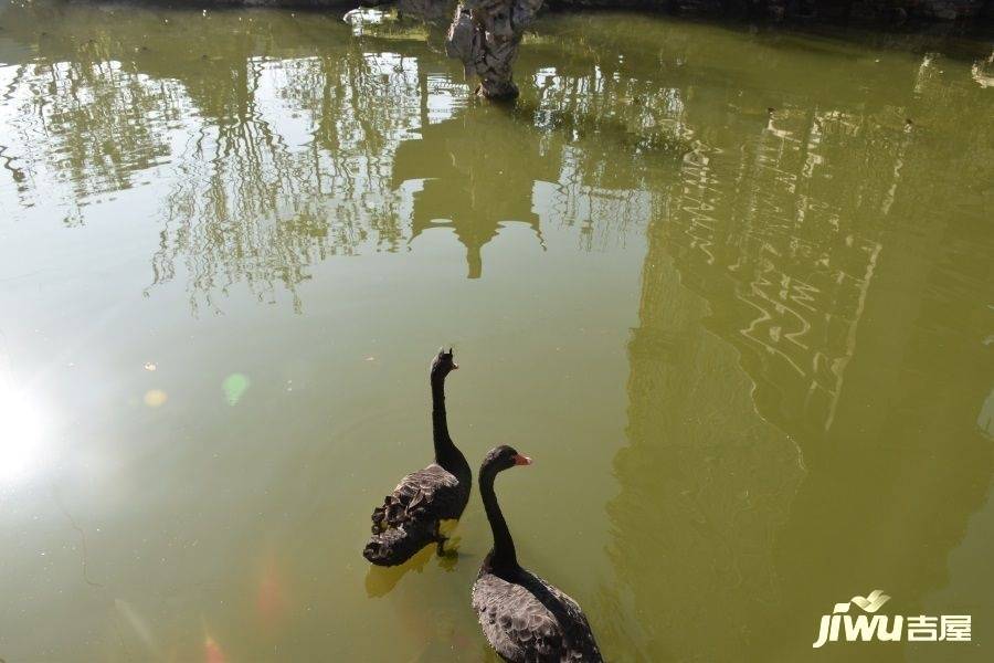 三盛颐景华府实景图图片