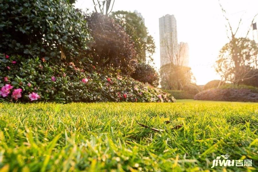 中梁荣安都会森林实景图图片