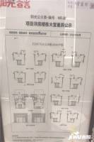 嘉禾金茂府实景图48