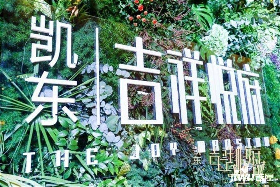 凯东吉祥悦府实景图图片