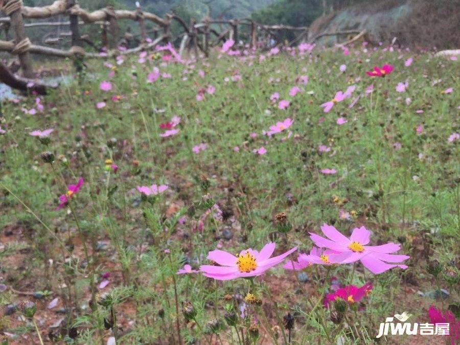 汇邦名都花园配套图图片