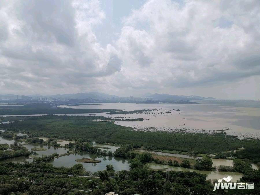 绿景红树湾壹号实景图图片