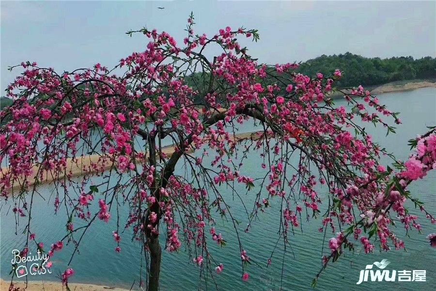 西海壹号实景图图片