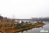 潢川红玺台实景图图片