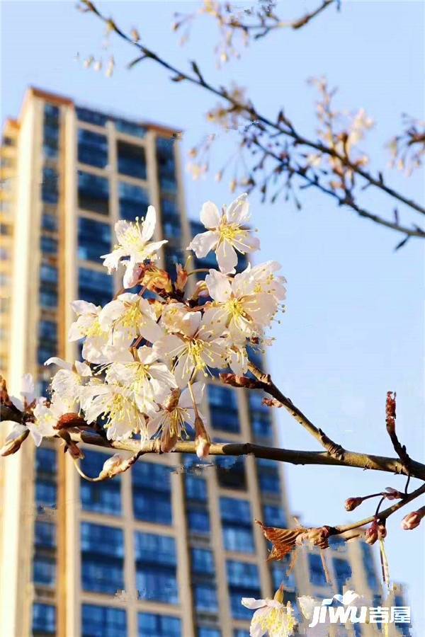 宇宏健康花城实景图图片