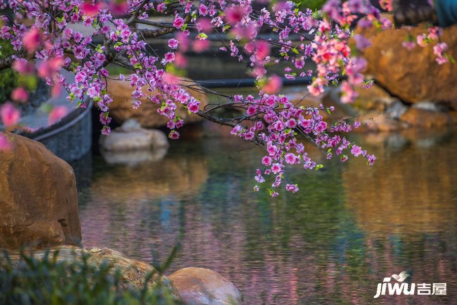 宁乡恒大御景半岛实景图图片