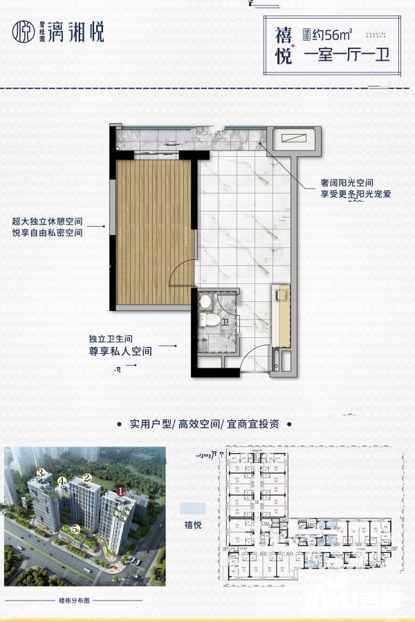 新长海漓湘悦1室1厅1卫56㎡户型图