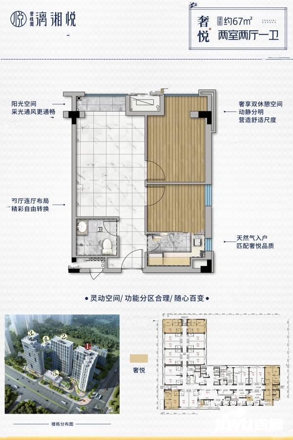 新长海漓湘悦商业-平层67㎡户型图