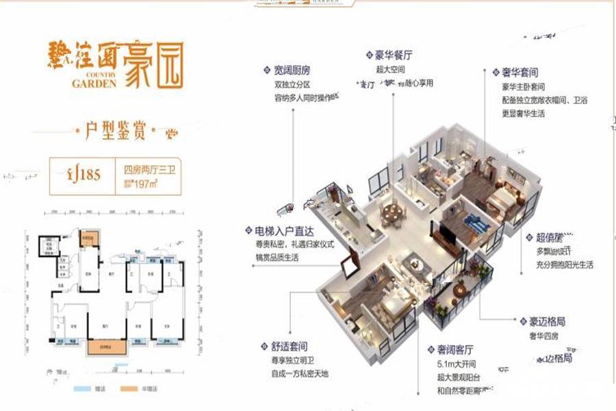 湘乡碧桂园豪园4室2厅3卫197㎡户型图