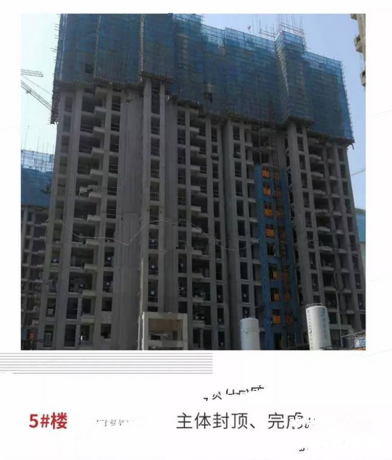 建业壹号城邦实景图图片