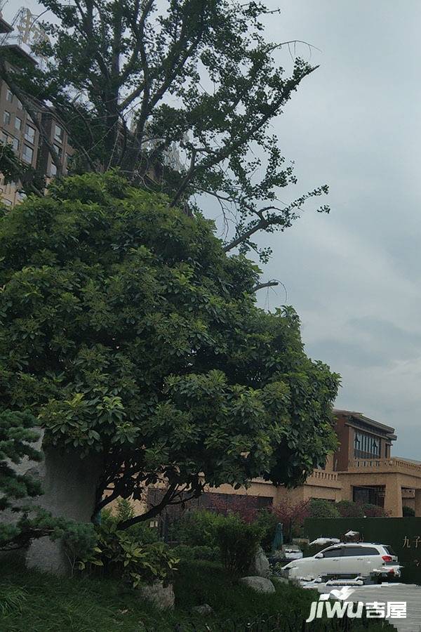 天地源九悦香都实景图图片