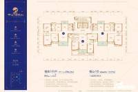 中建玥熙台普通住宅146.2㎡户型图