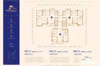 中建玥熙台普通住宅152.7㎡户型图