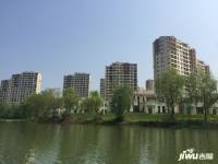 江扬天乐湖实景图图片