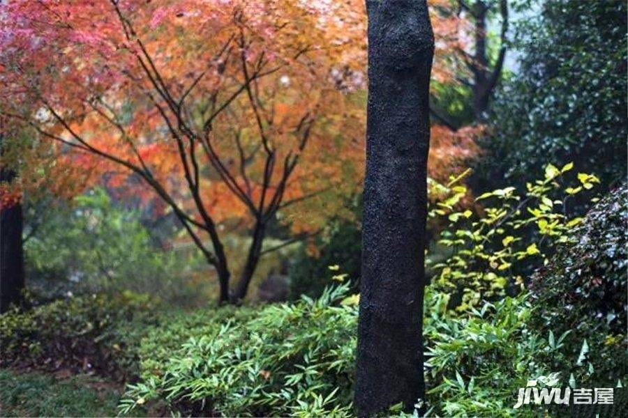 坤和和家园雍园实景图图片