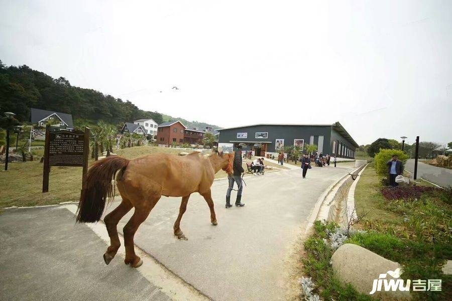 玉金山墅实景图135