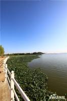 力高雍湖湾实景图图片