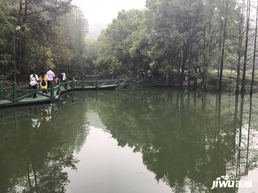 碧桂园知音豪庭配套图图片