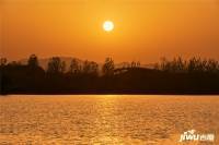 碧桂园忆西湖实景图图片