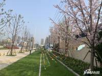南德长江城实景图图片