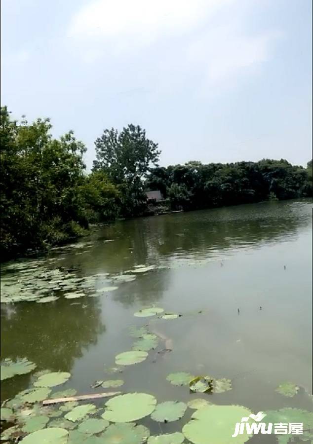 玉金山墅实景图图片