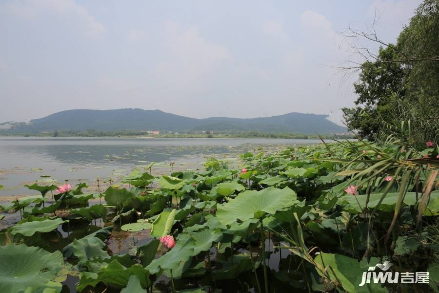 玉金山墅实景图图片