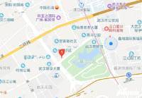 新长江CBD中心位置交通图图片