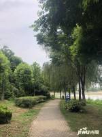 杨春湖畔实景图图片