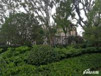 雅居乐花园实景图图片