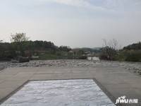 泰禾知音湖院子实景图图片