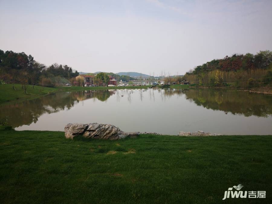 泰禾知音湖院子实景图图片