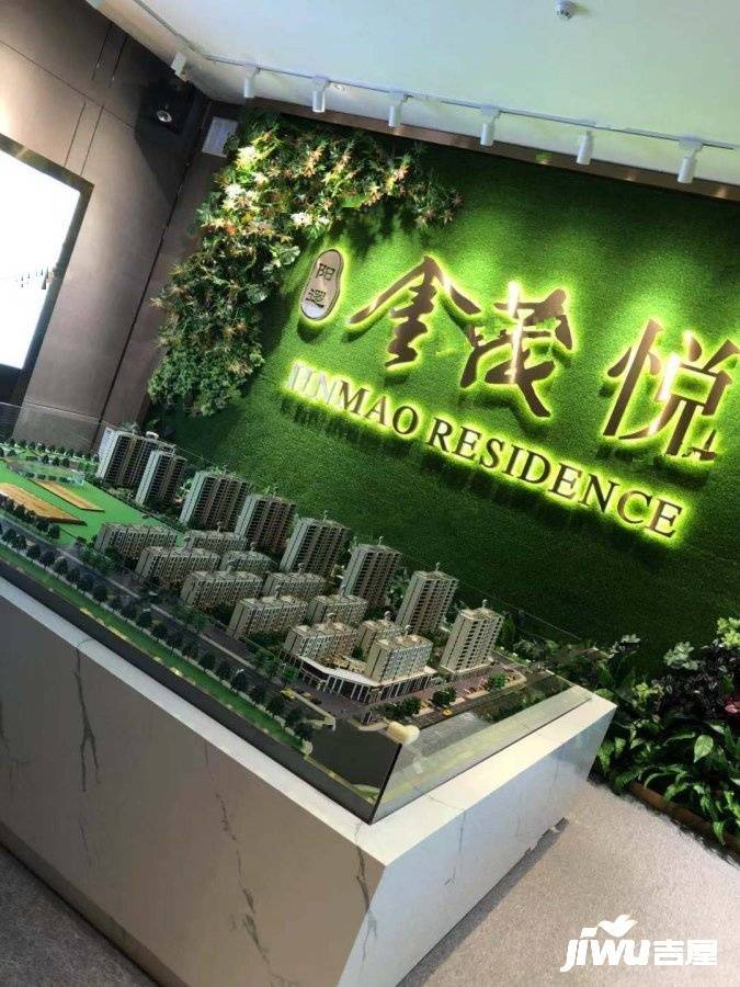 阳逻金茂悦实景图图片