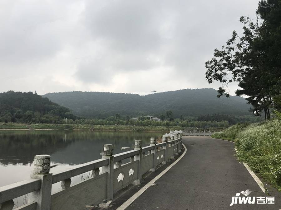 绿城凤起乐鸣配套图图片