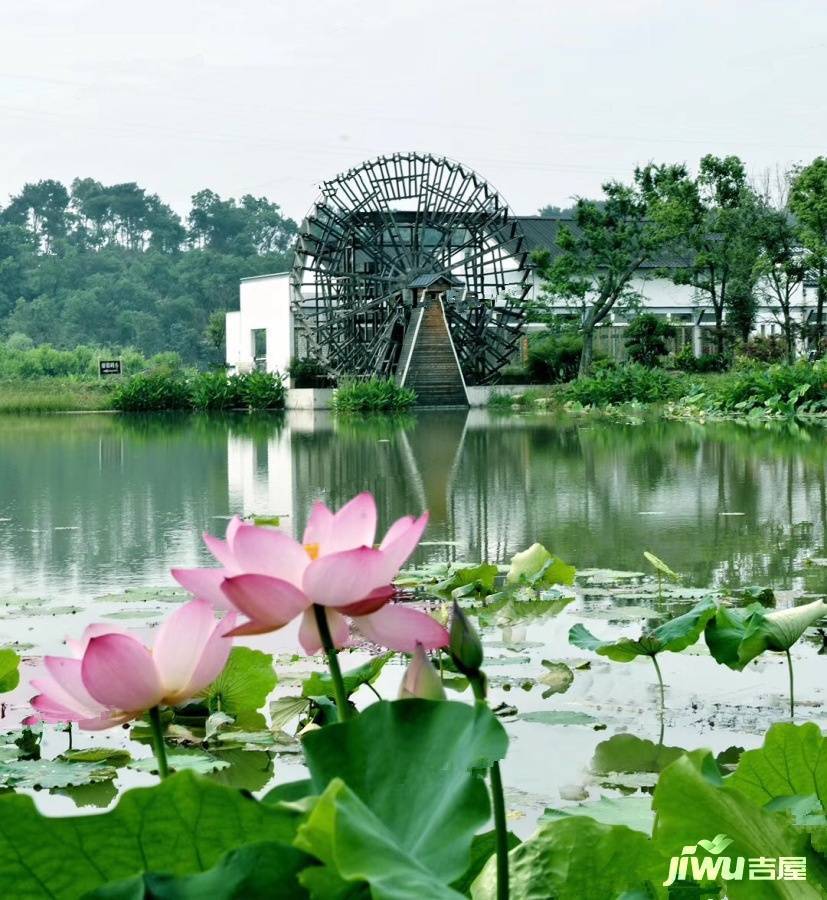 玉金山墅实景图图片