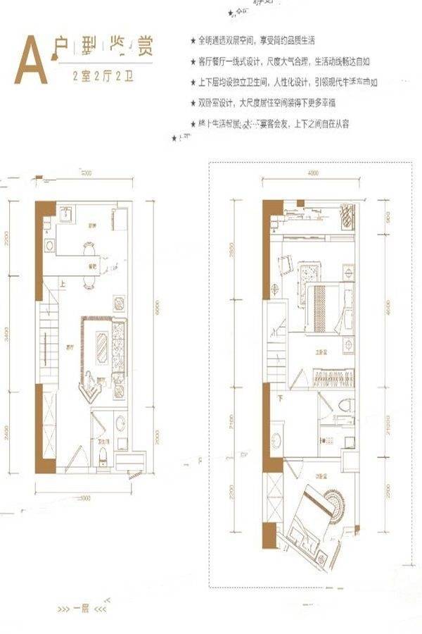 华生城首府2室2厅2卫43㎡户型图